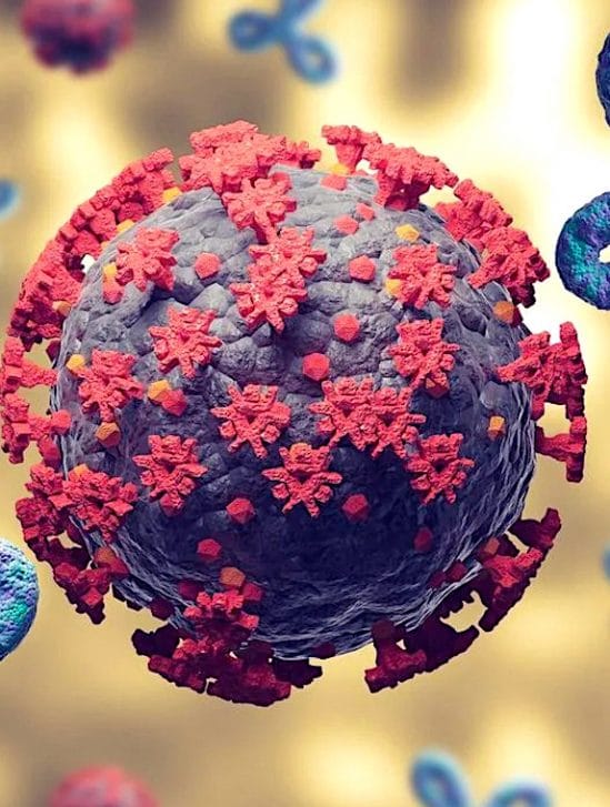 covid auto-immunite persistante chez malades avec sans symptomes