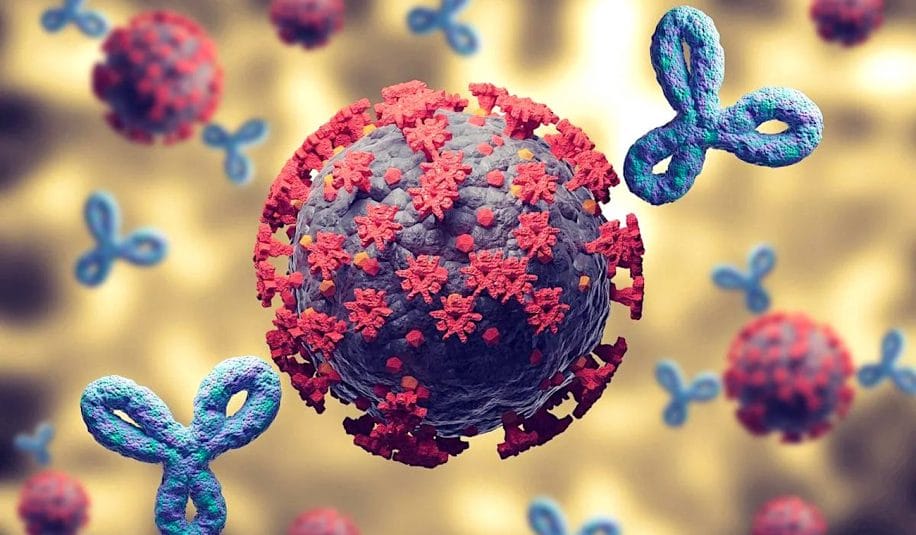 covid auto-immunite persistante chez malades avec sans symptomes