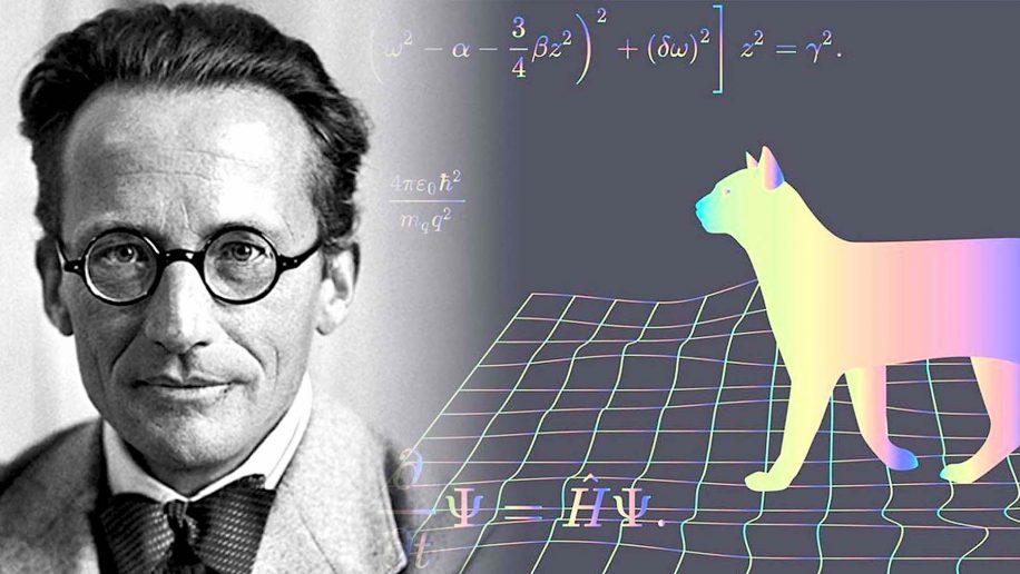 erwin schrodinger predateur sexuel selon enquete recente