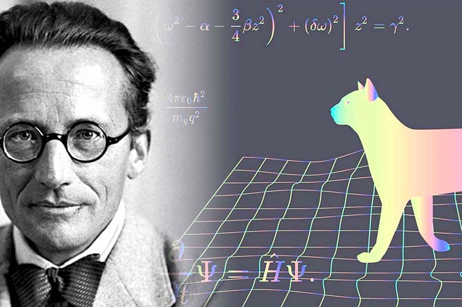 erwin schrodinger predateur sexuel selon enquete recente