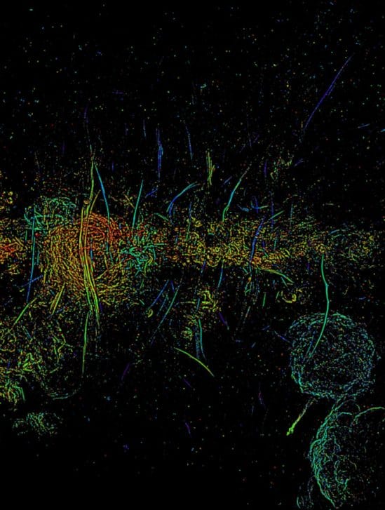 filaments voie lactée