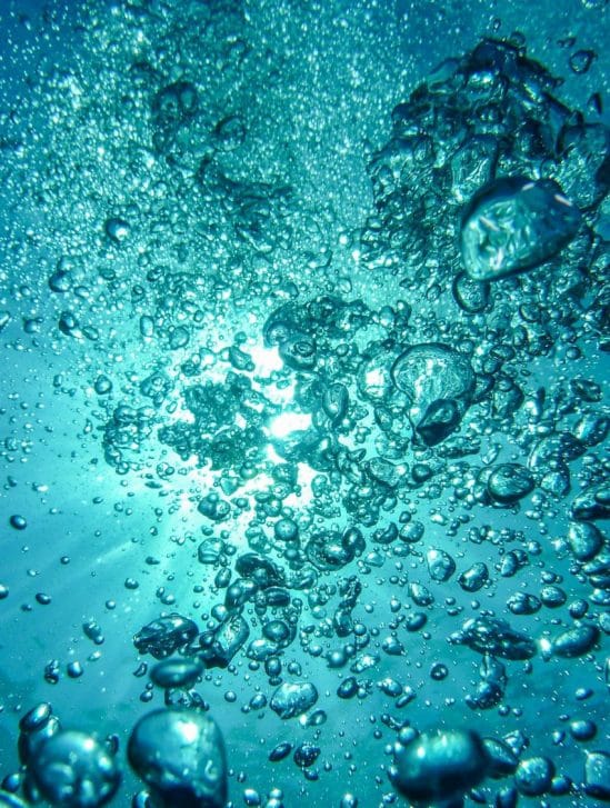 microbes océans oxygène