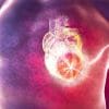 nouvel hydrogel comparable tissus potentiellement inalterable