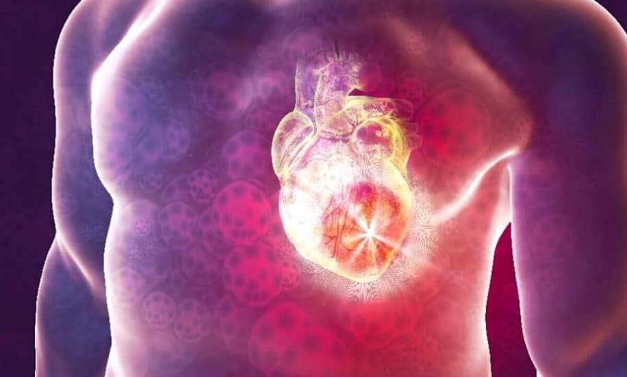 nouvel hydrogel comparable tissus potentiellement inalterable
