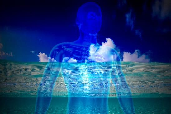 pourquoi sommes-nous majoritairement constitues eau