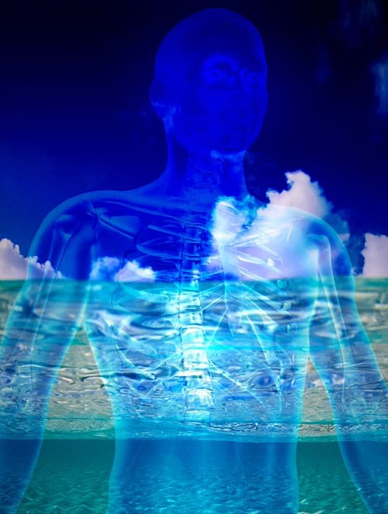 pourquoi sommes-nous majoritairement constitues eau