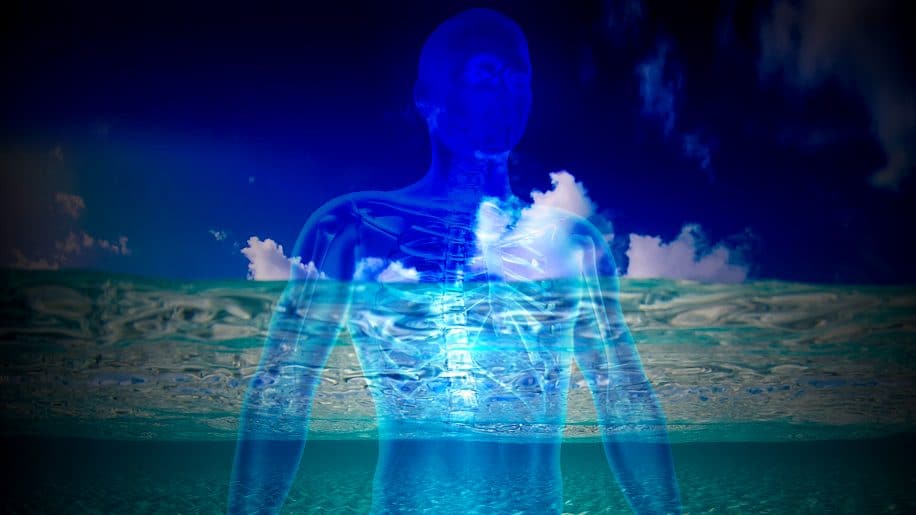 pourquoi sommes-nous majoritairement constitues eau