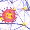 tous inegaux face effets neurologiques covid-19