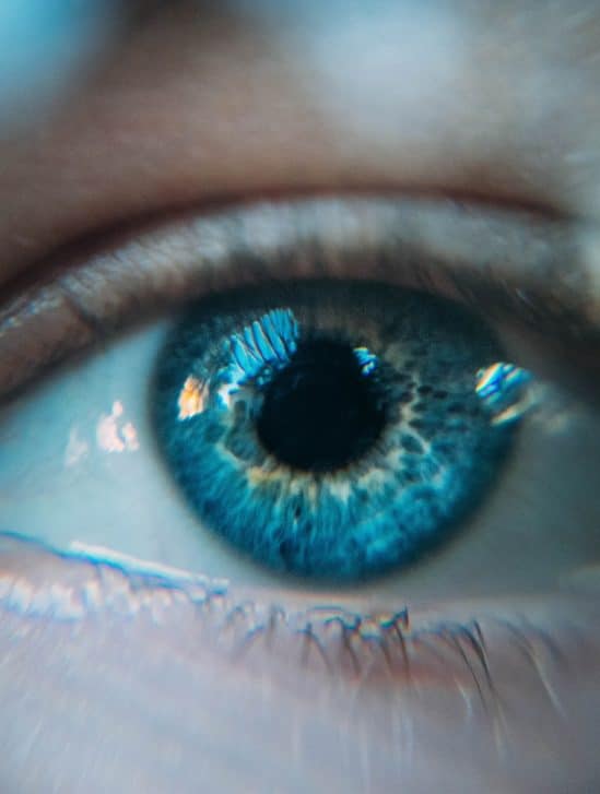 traitement informations visuelles cerveau