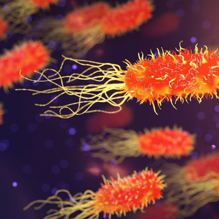 Antibiorésistance nouveau traitement cible protéine