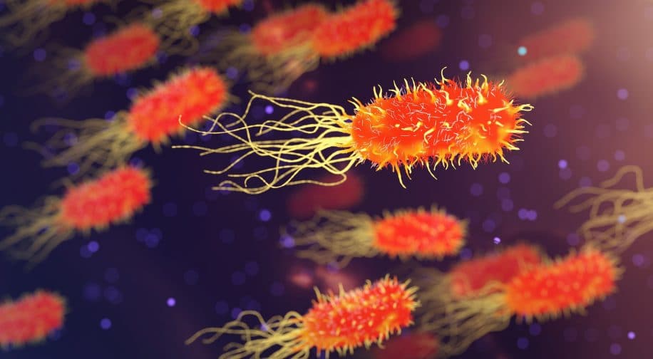 Antibiorésistance nouveau traitement cible protéine