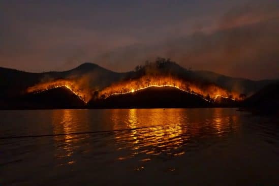 Hausse 50% feux de forêt