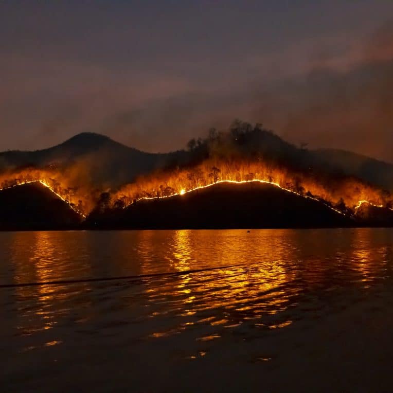 Hausse 50% feux de forêt