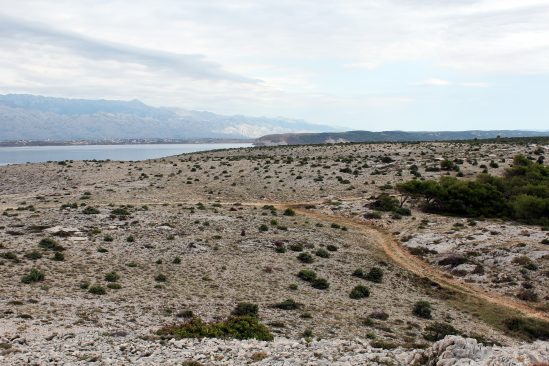 Méditérranée désertification rapide