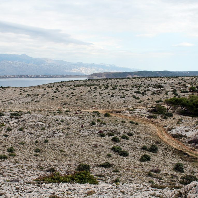 Méditérranée désertification rapide