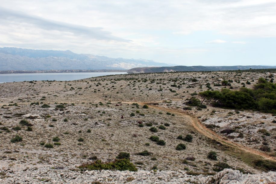 Méditérranée désertification rapide