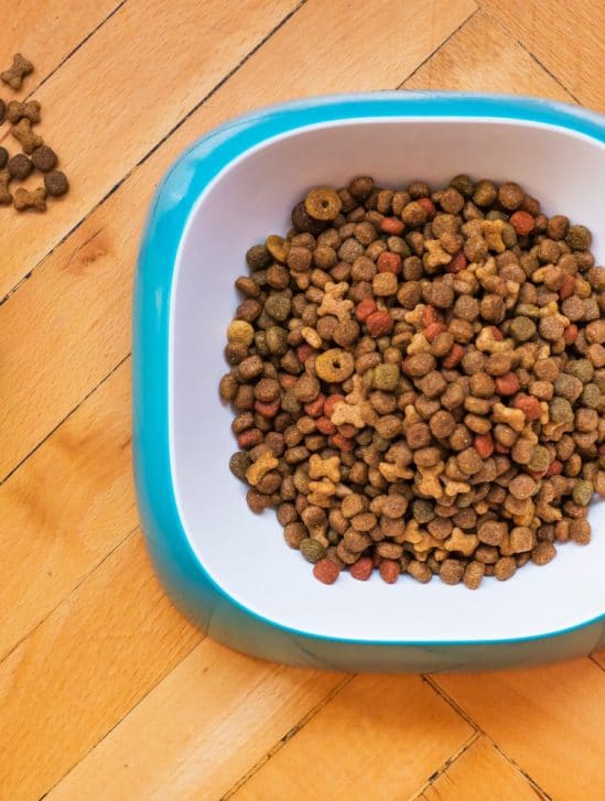 alimentation équilibrée animaux compagnie