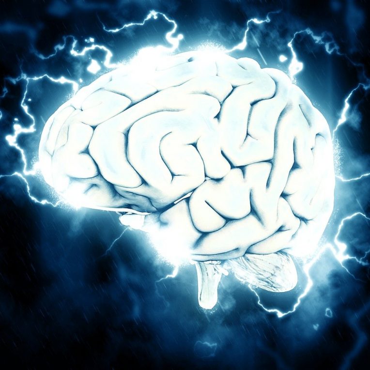 genetique revolution origines migraine