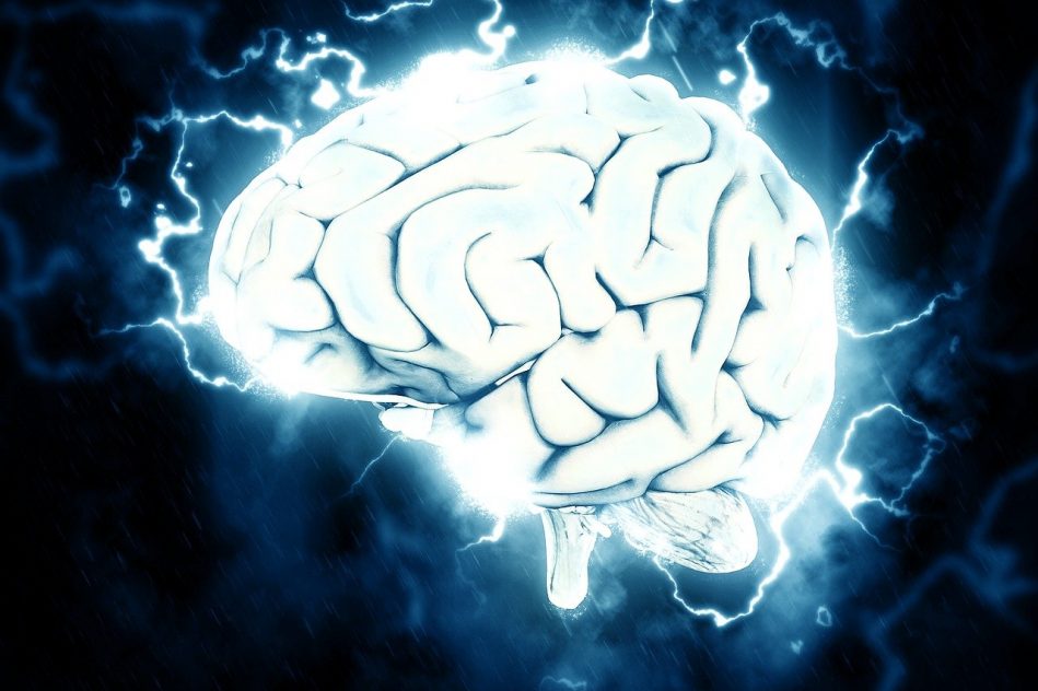 genetique revolution origines migraine