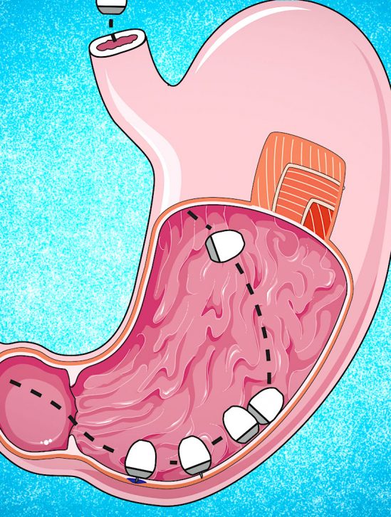capsule capable delivrer vaccins arnm directement niveau cellules