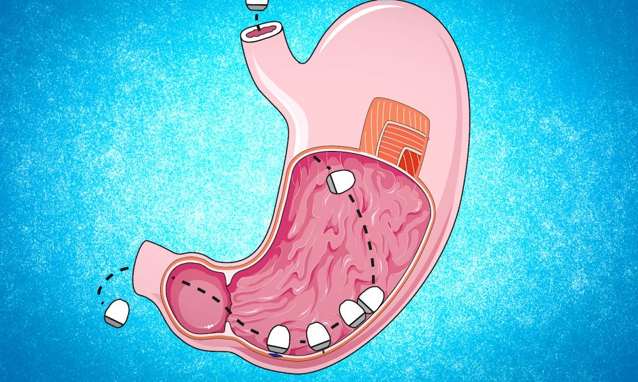 capsule capable delivrer vaccins arnm directement niveau cellules