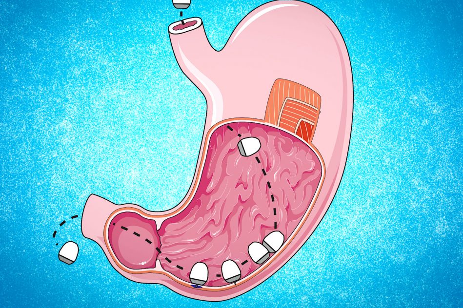capsule capable delivrer vaccins arnm directement niveau cellules