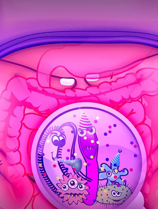 champignons intestinaux immunité comportement