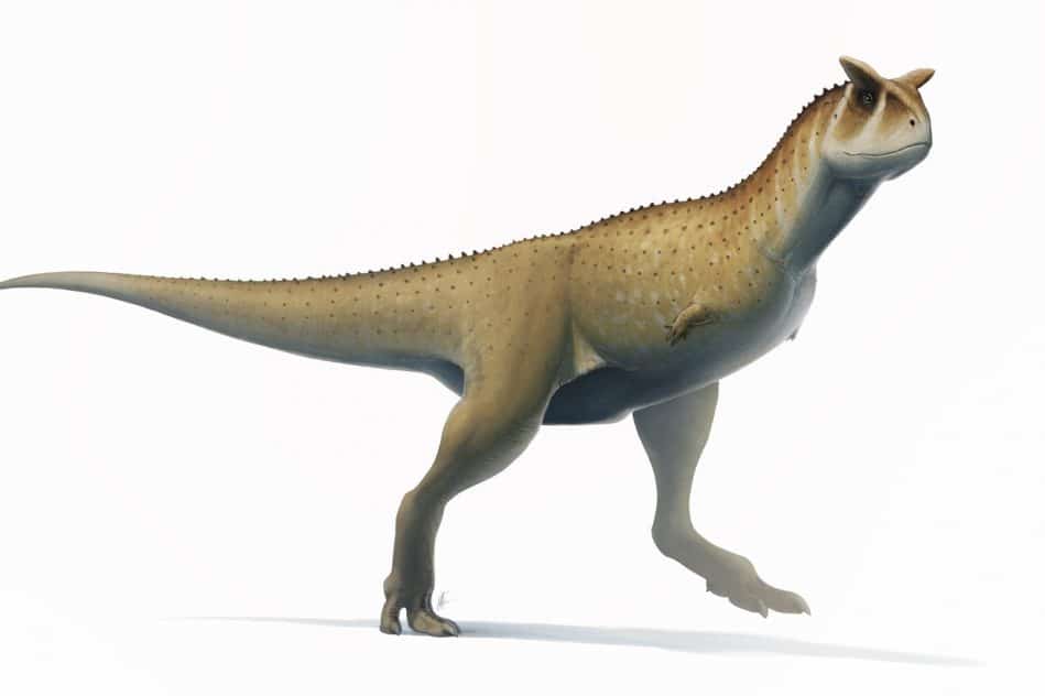 nouvelle espèce dinosaure nord Argentine