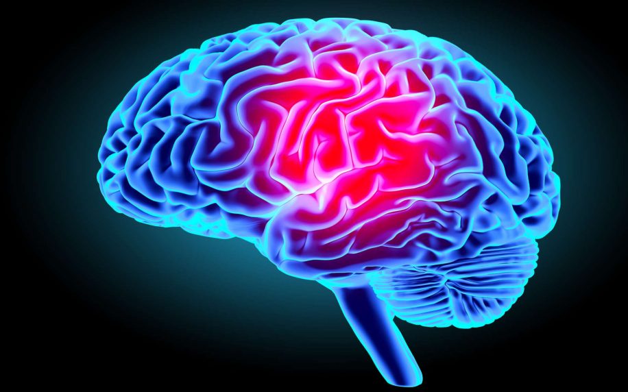 origine cerebrale schizophrenie gyrus dente