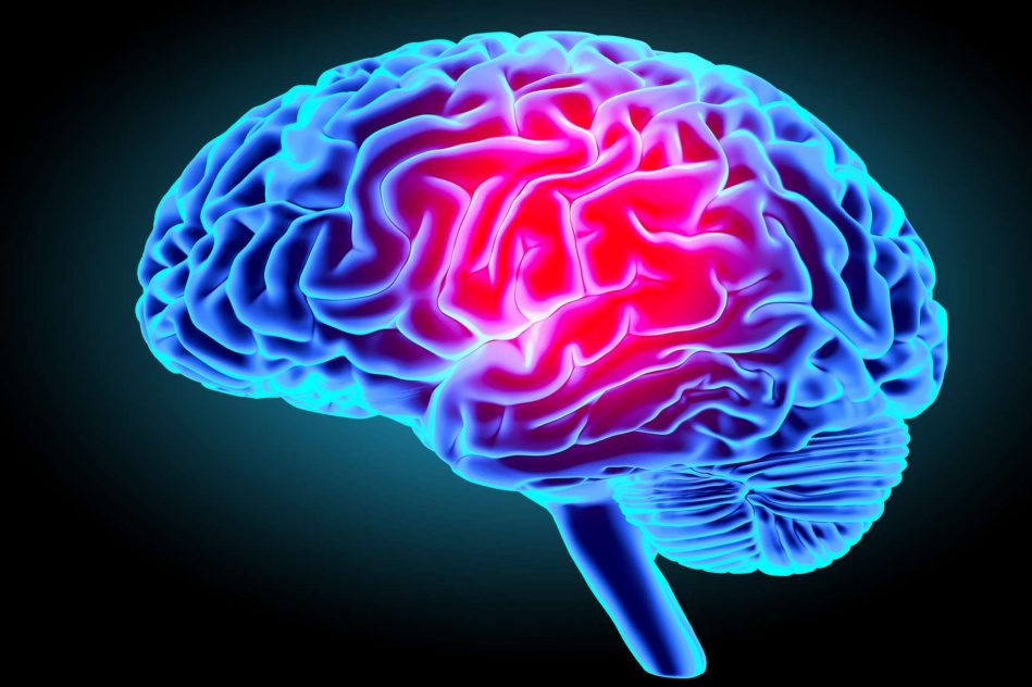origine cerebrale schizophrenie gyrus dente