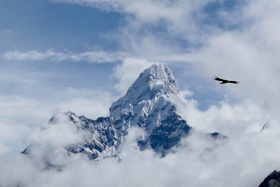 supermontagnes évolution vie