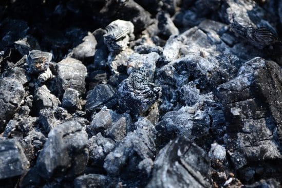 Terres rares extraits déchets combustion charbon