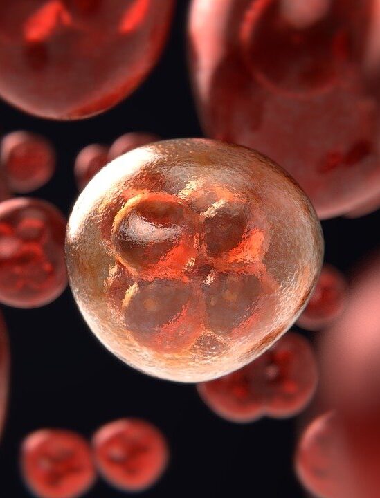Immunothérapie implant CAR-T