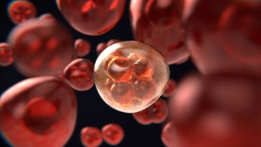 Immunothérapie implant CAR-T