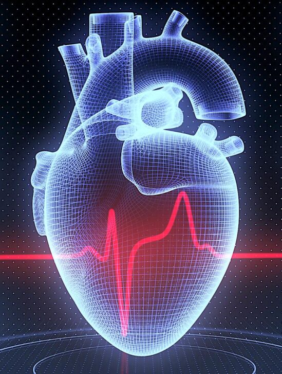 algorithme IA prédiction infarctus