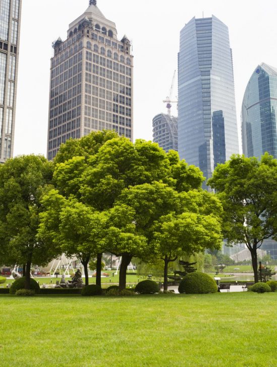 avc risque reduit espaces verts pollution air couv