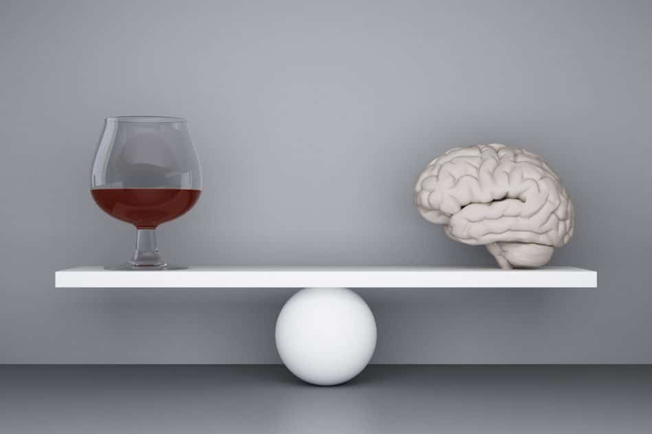 consommation legere alcool reduction taille cerveau couv