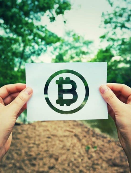 cryptomonnaies compensation carbone