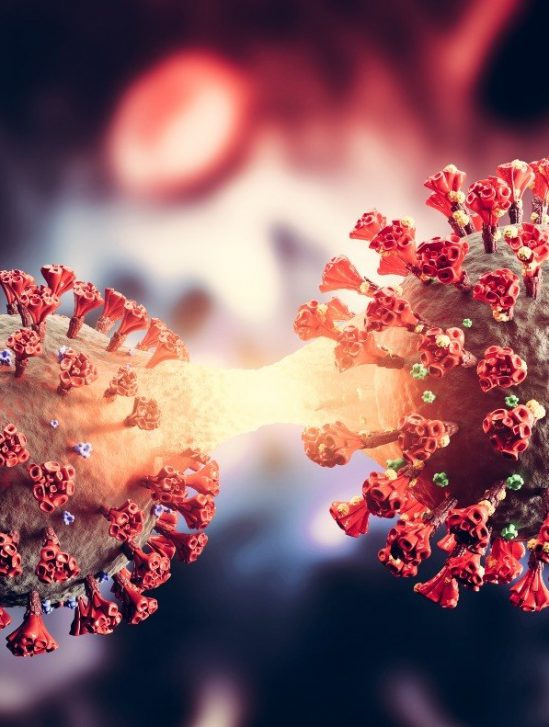 deltacron oms variant recombinant confirme couv