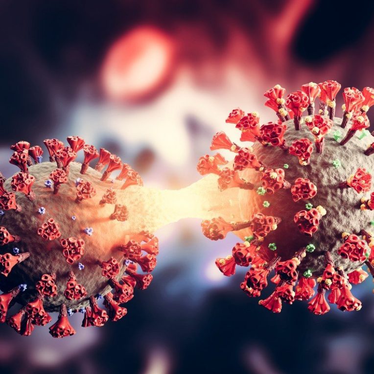 deltacron oms variant recombinant confirme couv