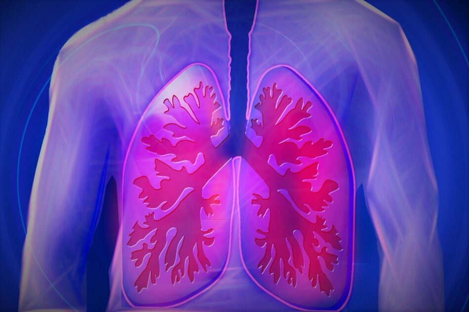 médicaments régénère cellules pulmonaires souris
