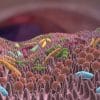microbiome cancer melanome traitement couv