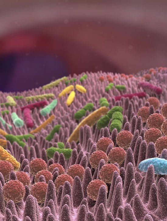 microbiome cancer melanome traitement couv