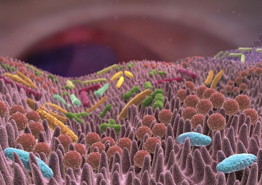 microbiome cancer melanome traitement couv