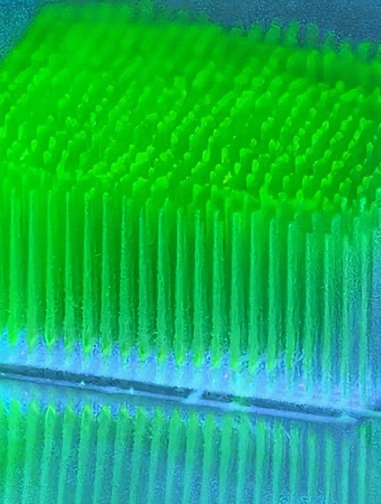 mini gratte-ciels bactéries convertissent lumiere en electricite