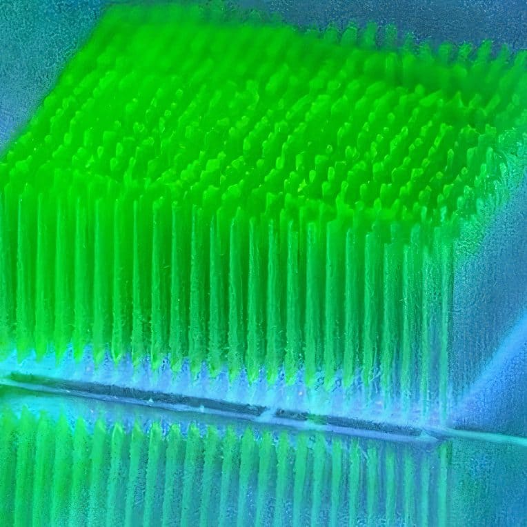 mini gratte-ciels bactéries convertissent lumiere en electricite