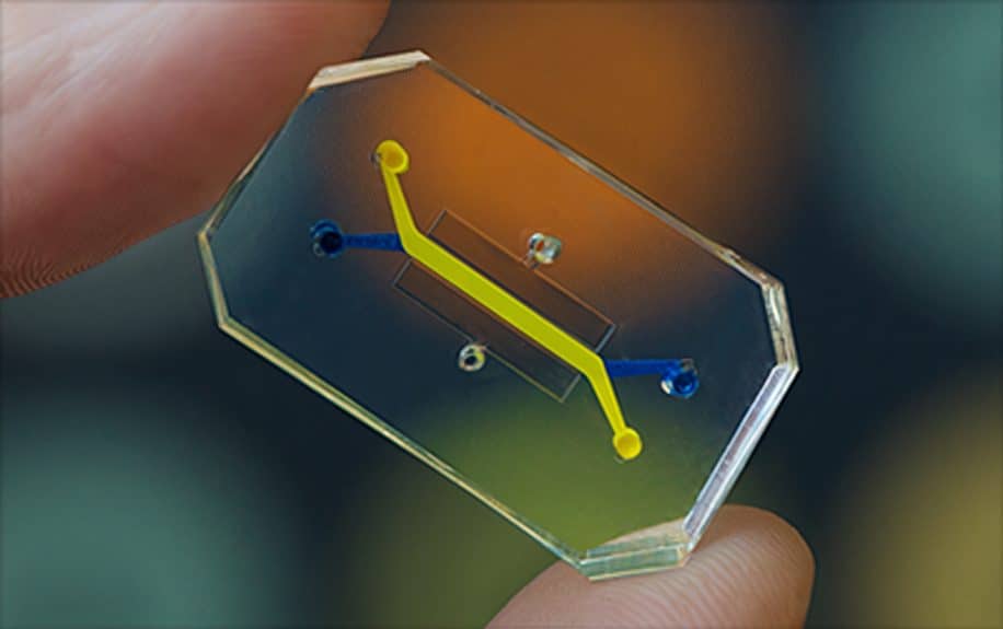 puce microfluidique systeme immunitaire vaccin