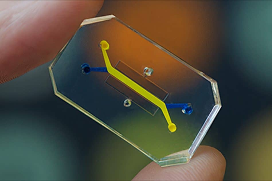 puce microfluidique systeme immunitaire vaccin