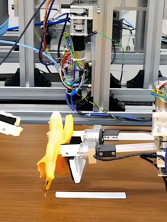 robot epluche banane sans reduire bouillie