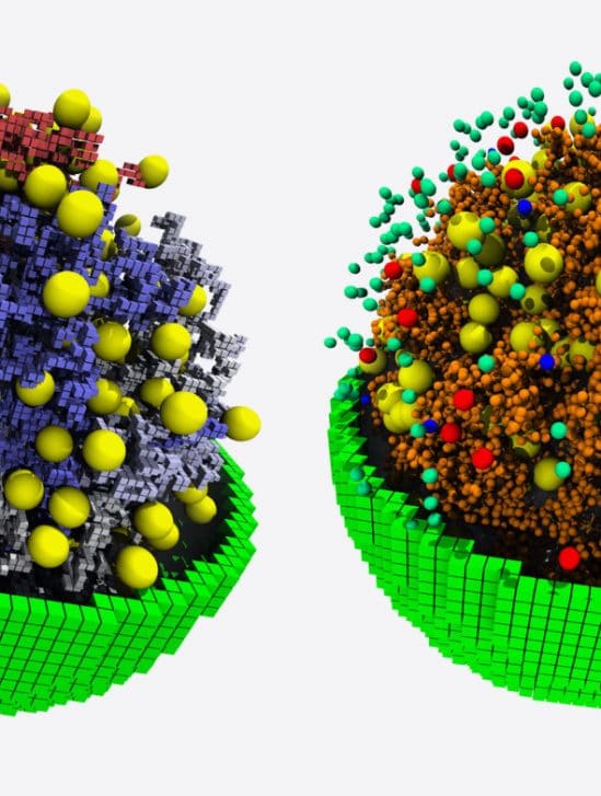 simulation cellule minimale